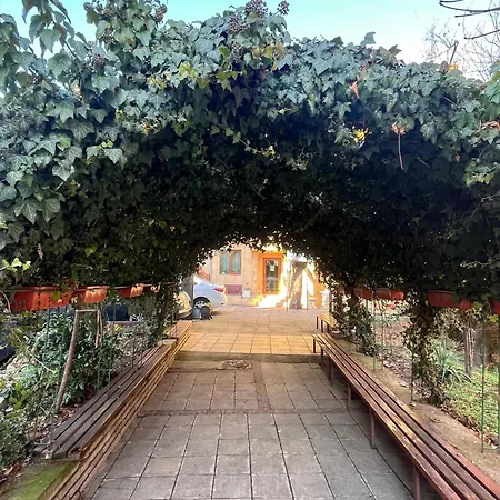 Merida 3* Yukarı Cuma